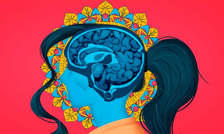 Ilustração da cabeça de uma mulher com foco nos vasos cerebrais, representados aqui na cor azul escuro. O rosto dela está em azul claro. Imagem está dentro de um retângulo vermelho.